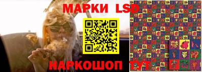 гашик Будённовск