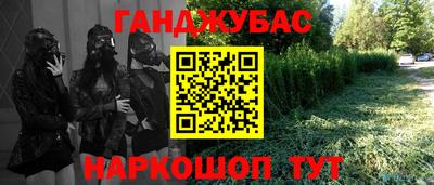 гашик Будённовск