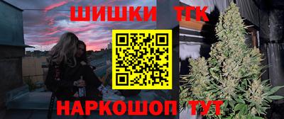 гашик Будённовск