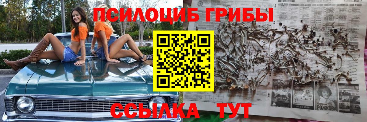 как найти закладки  Псилоцибиновые грибы Psilocybine cubensis  Вход с VPN  Галлюциногенные грибы прущие грибы  Сальск 